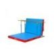 FOLDING MATTRESS <br />FOR PARALLEL AND MIXED BARS <br />450 X 250 X 20 CM