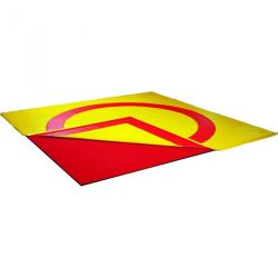 TAPIS + BACHE DE LUTTE/JUDO REVERSIBLE