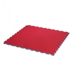 TATAMI MULTISPORT BASIC 100 X 100 X 2.2 CM