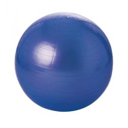 BALLE GYMNIQUE SWISS BALL