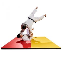 TATAMIS DE JUDO COMPETITION HOMOLOGUE I.J.F. 200 X 100 X 5 CM 