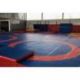 REVERSIBLE EDUCATIONAL WRESTLING MAT COVER<br />1 CIRCLE / 4 CIRCLES