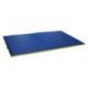 TAPIS DE RECEPTION POUR MUR D'ESCALADE 250X100X5CM VELCRO PLEYEL GYM