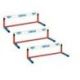 SCHOOL MINI-HURDLE<br />SET OF 3 OR 6