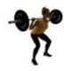 WOMEN OLYMPIC BARBELL 15KG - CAPACITY 500KG<br />